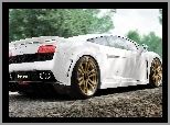 Droga, Białe, Lamborghini